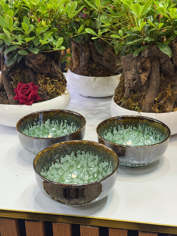کاسه آبگوشتی شره ای سه عددی