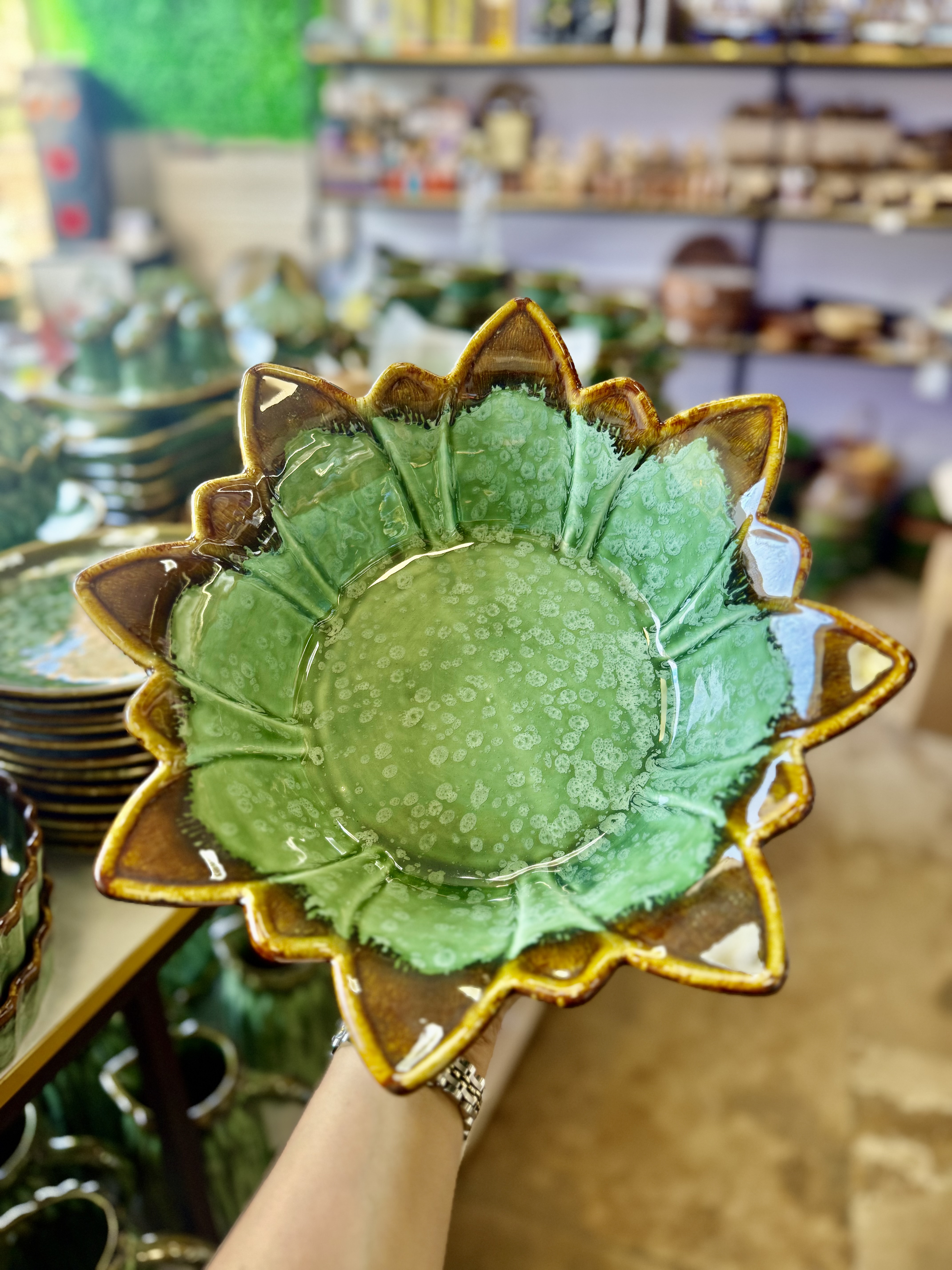 میوه خوری خورشیدی شره ای